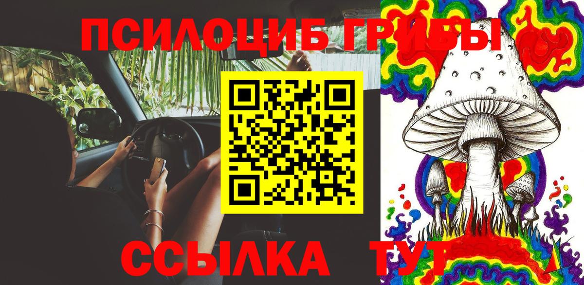 Псилоцибиновые грибы MAGIC MUSHROOMS Костомукша